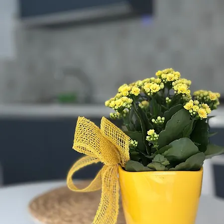 Apartment Maelle By Portofinovacanze *